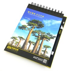 A5 cardboard corporate notebook-Midland Realty